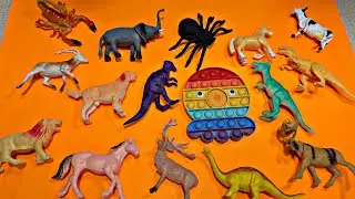 🐯 ASMR_Video * Mini Collection Toy Animals - Dog, Elephant, Cow, Dinosaur, Deer, Horse, Scorpion...