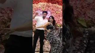 balle balle #leenapal  #dance  #trending  #wedding  #saree  #indianclothes
