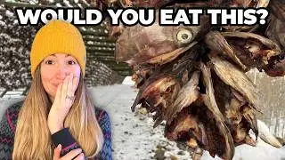 I Tried the REAL Taste of Lofoten in Norway ( Regret?!)