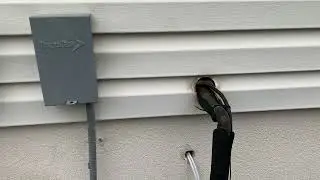 Yellow Jackets Nest In Opening in Utility Pipe