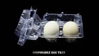 platic egg tray factory, paper egg trays supplier, www.printingsglobal.com
