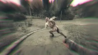 Crane Turns the Tables