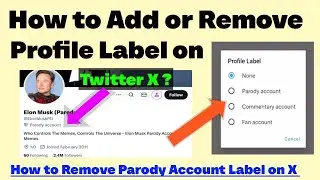 How to Add or Remove Profile Label on X (Twitter) Android 2026 | Remove X Profile Label Parody/Fan