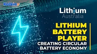 Driving sustainability in the lithium battery industry