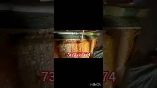Silkworm#farming#Ecshed#sericulture#agriculture#silkworm#ECshed##con#7373557374#shanthiaircooler