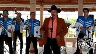 Nicasio Quintero y banda la Joya - amores fingidos