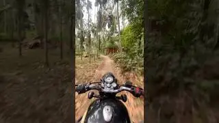 Adventure Ride☠️💣#peaceful #nature #love #vibes #shorts #shortsfeed #viralshorts