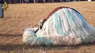 Idoma Tribe and traditional 