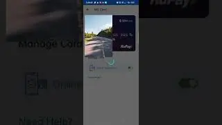 ring pay later application apply kar do
