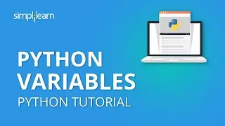 Переменные Python | Переменные и типы данных Python | Учебное пособие по Python | Программировани...
