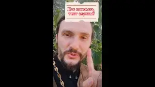 Как понимать текст службы?