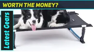 Helinox Elevated Dog Cot: Best Elevated Dog Bed for Comfort and Durability