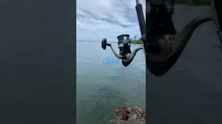Fishing in Hilo Hawaii