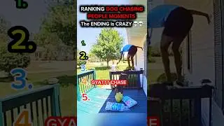 RANKING DOGS CHASING PEOPLE 😳🤯&hellip;