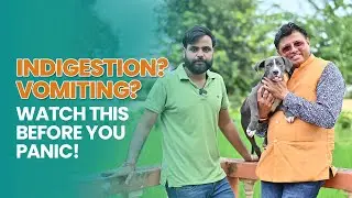 Puppy Indigestion & Vomiting? Watch This Before You Panic! #pets #pitbull #petgards #puppy
