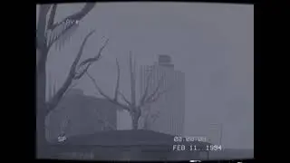 Ice storm 94 - Memphis (Animation)