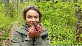 Terapia lasem - na czym polega i jakie daje korzyści?