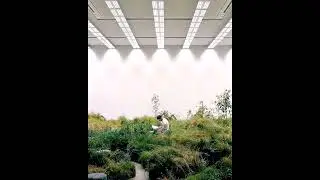 [free] ambient trap + experimental trap + shed theory  type beat  