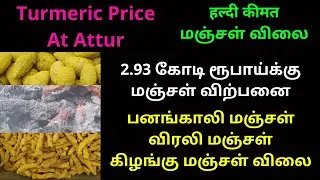 The Pulse of Spice Aattur Society's Turmeric Price Bulletin | ஆத்தூர் வேளாண் சங்கத்தில் மஞ்சள் ஏலம்