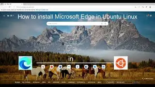 How to install Microsoft Edge in Ubuntu Linux