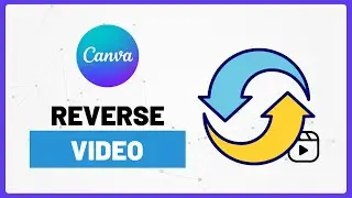 Как перевернуть видео в Canva (быстрый и простой трюк!)