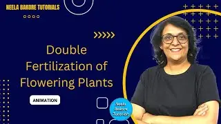 Double Fertilization in Flowering Plants | Animation | NEET | Neela Bakore Tutorials