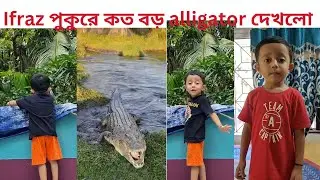Ifraz পুকুরে একটা মস্ত বড়ো alligator দেখলো #youtubevideo