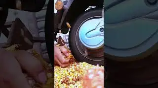 AGRITECH || Cara cerdas merontokkan jagung #shorts