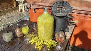 GREEN GRAPE WINE