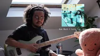 Satellite Lovers - How Much I Love You, Baby (Bass Cover)