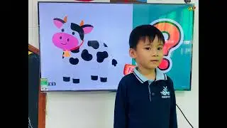 Tuấn Vinh - Pecan