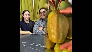 😍😜🤣👌👌👌Crazy Clips Compilation #humor #fypシ #pov #fyp #foryou 😍😜🤣👌👌👌2026 pov Must-Watch3