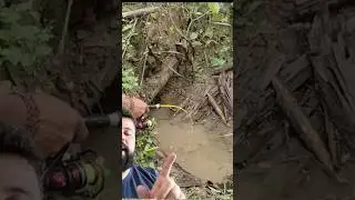 PESCARIA NO C&Oacute;RREGO
