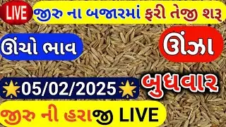 Jeera na bhav | 05-02-2025 | જીરું ના ભાવ:2025 | live cumin trading in  APMC | commodity Trend