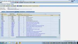 #SAP #ABAP #Dataset Data set