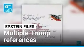 Fresh Epstein files release contains multiple Trump references &bull; FRANCE 24 English