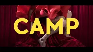 Gerwyn Davies - Camp as an aesthetic strategy