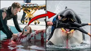 Orca Attack Horror &mdash; The Incident That Nearly Killed a Trainer&rsquo;s Daughter |orca attack
