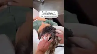 COLOR WOW Shampoo & Conditioner Duo for Vibrant Hair