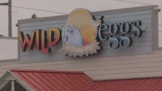 Wild Eggs, which first opened in Louisville, looking to expand to 6 new states via franchising