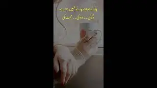 Chai Shayari | Best Tea Poetry For Tea Lovers #Short #ShortsVideo