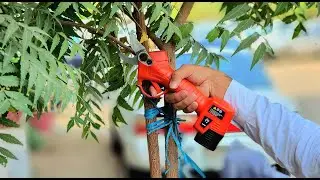 Review Electric Pruning Shears Cutter Rechargeable With Two Batteries