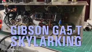 Gibson GA5-T Skylarking