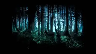 frederic chopinthe mysterious forest 1 hour version