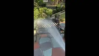 ONLY way to really KILL Spotted lanternflies.