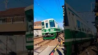 10000系+7100系復刻塗装サザン(2025/12/20 11:45 貝塚駅&rarr;二色浜駅走行) #7100系 #10000系 #サザン #復刻塗装 #二色浜駅 #貝塚駅 #南海電車 #南海ホークス