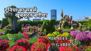 दुनिया का सबसे खूबसूरत बगीचा| The most beautiful garden in the world| miracle garden| #miracle