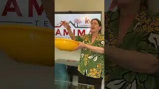 Raffle Drawing for Walnut Street Fair, Montclair