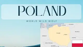 #POLAND#redditstories#stories#reddit#story#storytale#world#travel#geography#facts#world wild wolf
