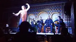 Flamenco Madrid | Tablao Flamenco Torres Bermejas | Spagna | Espana
